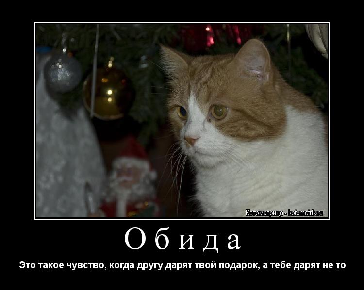 Обида Это такое чувство, когда другу дарят твой подарок, а тебе дарят не то... Котоматрица: Обида Это такое чувство, когда другу дарят твой подарок, а тебе дарят не то