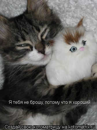Котоматрица: Я тебя не брошу, потому что я хороший