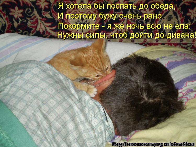 ПРОСЫПАЙСЯ МОЙ ХОЗЯИН Я СПЕШУ ТЕБЕ СКАЗАТЬ MP3 СКАЧАТЬ БЕСПЛАТНО ПРОСЫПАЙСЯ МОЙ ХОЗЯИН Я СПЕШУ ТЕБЕ СКАЗАТЬ MP3 СКАЧАТЬ БЕСПЛАТНО