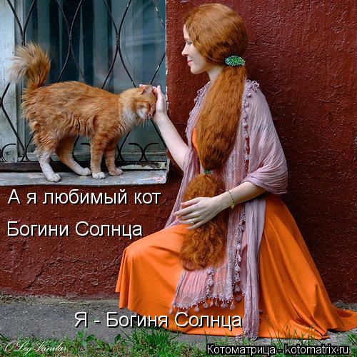 Котоматрица: Я - Богиня Солнца А я любимый кот  Богини Солнца