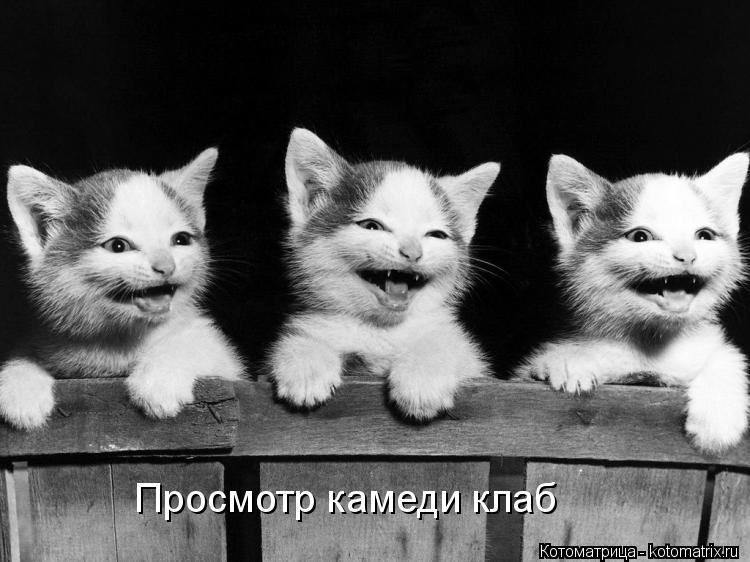 http://kotomatrix.ru/images/lolz/2012/07/13/kotomatritsa_9I.jpg