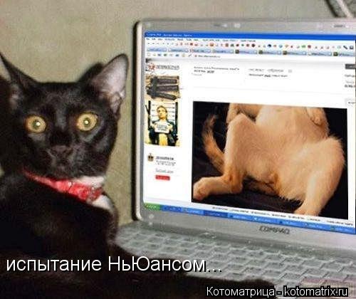 Котоматрица: испытание НьЮансом...