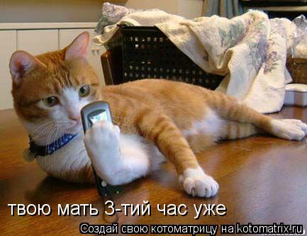 твою мать 3-тий час уже... Котоматрица: твою мать 3-тий час уже
