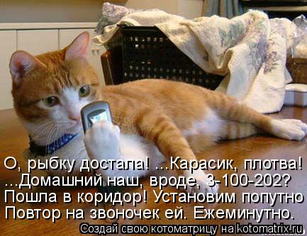 Котоматрица: О, рыбку достала! ...Карасик, плотва! ...Домашний наш, вроде, 3-100-202? Пошла в коридор! Установим попутно Повтор на звоночек ей. Ежеминутно.
