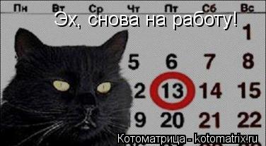 Эх, снова на работу!... Котоматрица: Эх, снова на работу!