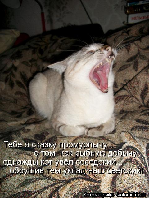 Котоматрица: Тебе я сказку промурлычу... о том, как рыбную добычу... однажды кот увёл соседский... обрушив тем уклад наш светский!