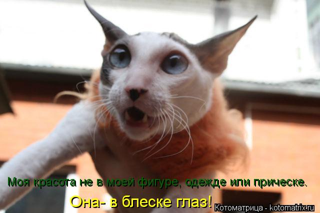 Котоматрица: Она- в блеске глаз! Моя красота не в моей фигуре, одежде или прическе.