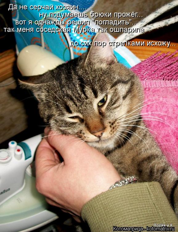 Котоматрица: Да не серчай хозяин.... ну подумаешь брюки прожёг... так меня соседская Мурка так ошпарила до сих пор стрелками исхожу... вот я однажды решил "п