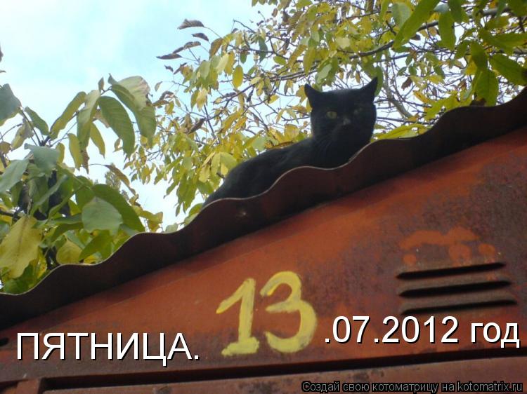 Котоматрица: ПЯТНИЦА. .07.2012 год
