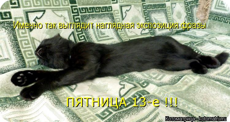 Котоматрица: ПЯТНИЦА 13-е !!! Именно так выглядит наглядная экспозиция фразы