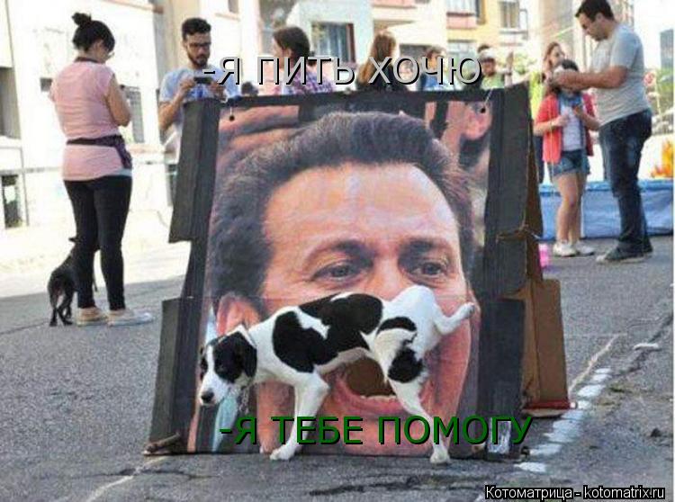 Котоматрица: -Я ПИТЬ ХОЧЮ  -Я ТЕБЕ ПОМОГУ