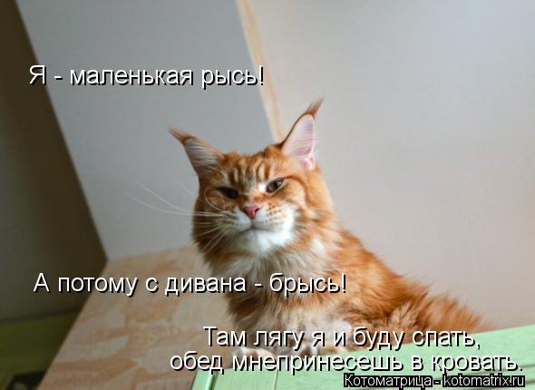 Котоматрица: Я - маленькая рысь! А потому с дивана - брысь! Там лягу я и буду спать, обед мнепринесешь в кровать.
