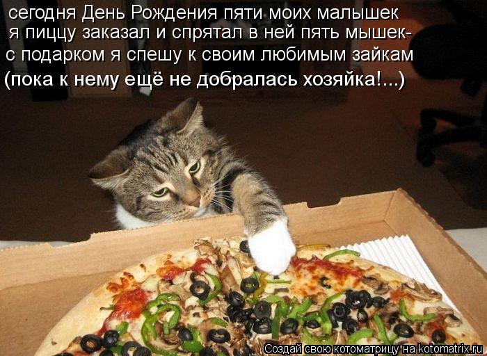 сегодня День Рождения пяти моих малышек я пиццу заказал и спрятал в ней пять мышек- с подарком я спеш... Котоматрица: сегодня День Рождения пяти моих малышек я пиццу заказал и спрятал в ней пять мышек- с подарком я спешу к своим любимым зайкам (пока к нему ещ