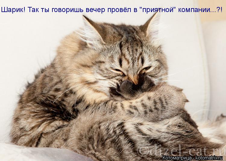 Котоматрица: Шарик! Так ты говоришь вечер провёл в "приятной" компании...?!
