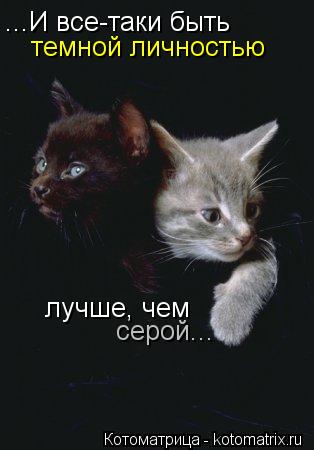 Котоматрица: ...И все-таки быть  темной личностью лучше, чем серой...
