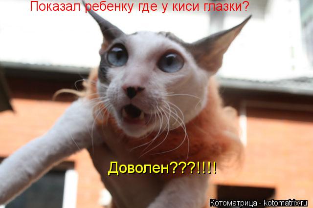 Котоматрица: Показал ребенку где у киси глазки? Доволен???!!!!