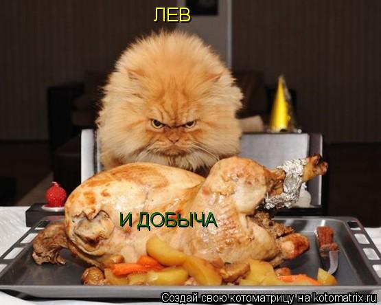 ЛЕВ И ДОБЫЧА... Котоматрица: ЛЕВ И ДОБЫЧА