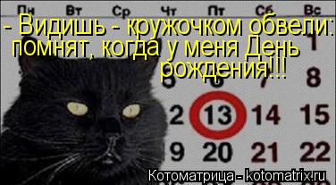 Котоматрица: - Видишь - кружочком обвели: помнят, когда у меня День рождения!!!