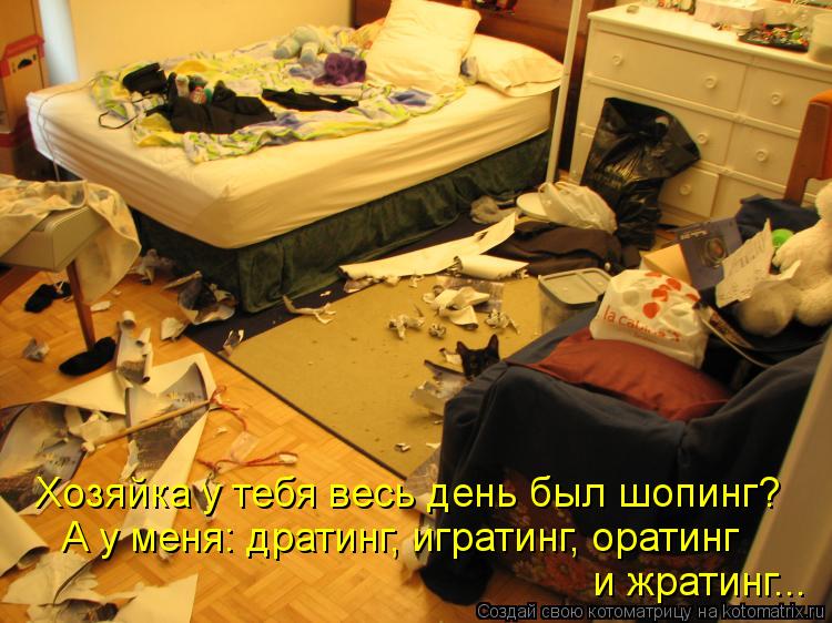 Котоматрица: Хозяйка у тебя весь день был шопинг?  А у меня: дратинг, игратинг, оратинг  и жратинг...
