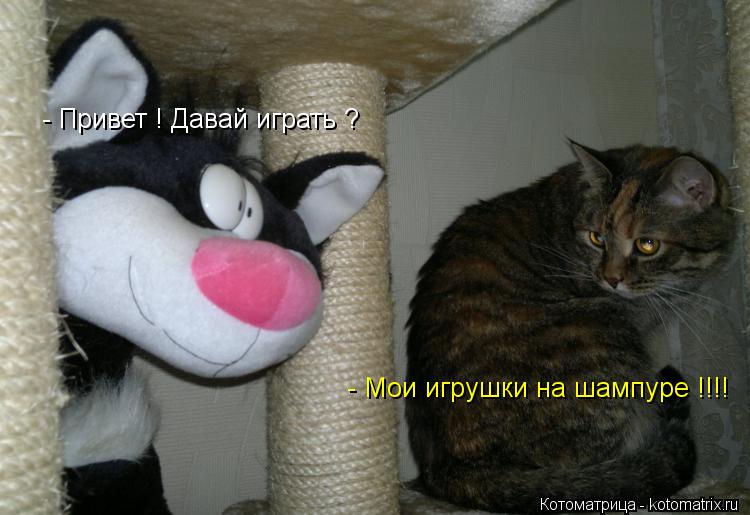 - Привет ! Давай играть ? - Мои игрушки на шампуре !!!!... Котоматрица: - Привет ! Давай играть ? - Мои игрушки на шампуре !!!!