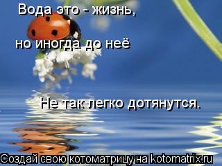 Вода это - жизнь, но иногда до неё Не так легко дотянутся.... Котоматрица: Вода это - жизнь, но иногда до неё Не так легко дотянутся.