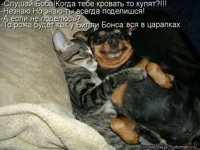 Котоматрица: -Слушай,Боба!Когда тебе кровать то купят?!!! -Незнаю.Но знаю-ты всегда поделишся! -А если не поделюсь? -То рожа будет как у Билли Бонса :вся в цар