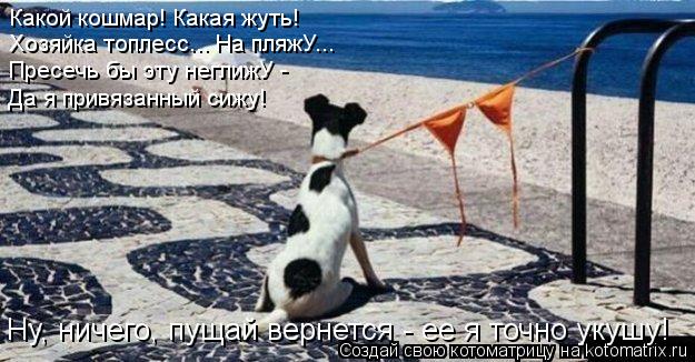 Котоматрица: Какой кошмар! Какая жуть! Хозяйка топлесс... На пляжУ... Пресечь бы эту неглижУ -  Да я привязанный сижу! Ну, ничего, пущай вернется - ее я точно у