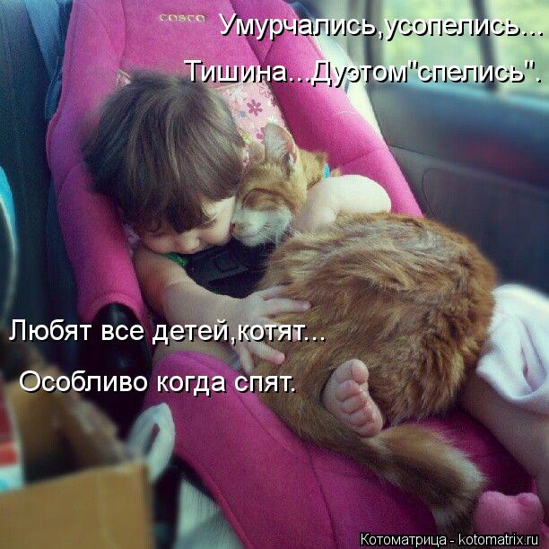 Котоматрица: Умурчались,усопелись... Тишина...Дуэтом"спелись". Любят все детей,котят... Особливо когда спят.