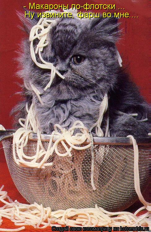 Котоматрица: - Макароны по-флотски ...  Ну извините, фарш во мне....