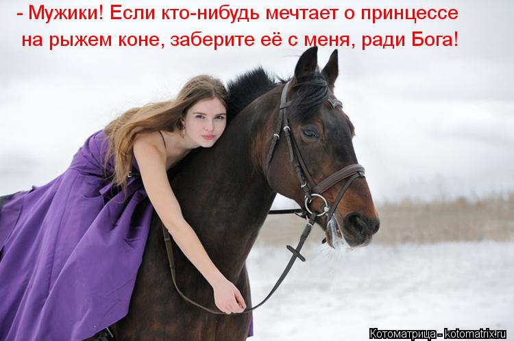 Котоматрица: - Мужики! Если кто-нибудь мечтает о принцессе на рыжем коне, заберите её с меня, ради Бога!