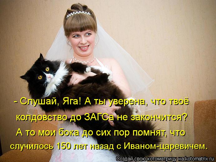 - Слушай, Яга! А ты уверена, что твоё колдовство до ЗАГСа не закончится? А то мои бока до сих пор пом... Котоматрица: - Слушай, Яга! А ты уверена, что твоё колдовство до ЗАГСа не закончится? А то мои бока до сих пор помнят, что случилось 150 лет назад с Иваном-ца