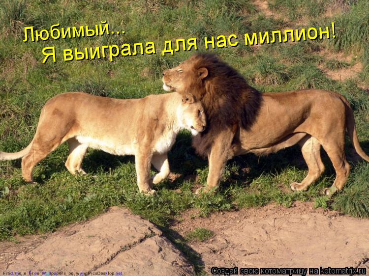 Котоматрица: Любимый! Любимый... Я выиграла для нас миллион!