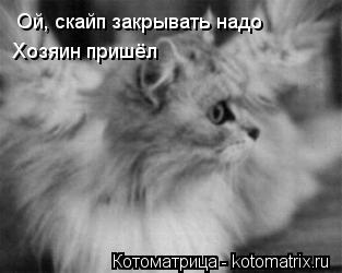 Котоматрица: Ой, скайп закрывать надо Хозяин пришёл