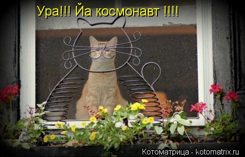 Котоматрица: Ура!!! Йа космонавт !!!!
