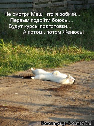 Котоматрица: Не смотри Маш, что я робкий... Первым подойти боюсь.... Будут курсы подготовки... А потом...потом Женюсь!
