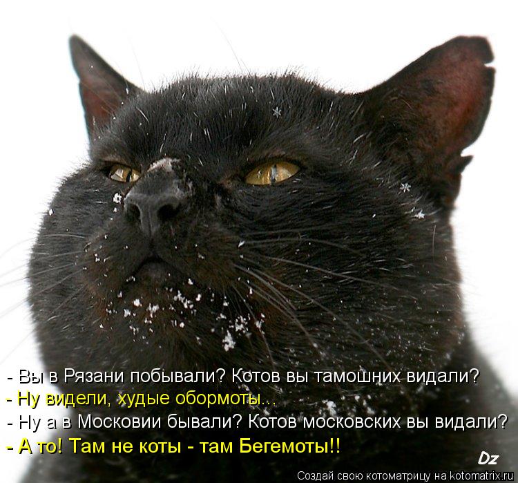 Котоматрица: - Вы в Рязани побывали? Котов вы тамошних видали? - Ну видели, худые обормоты... - Ну а в Московии бывали? Котов московских вы видали? - А то! Там н
