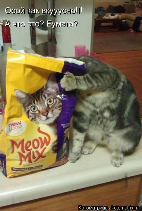 Котоматрица: Ооой как вкууусно!!! А что это? Бумага?