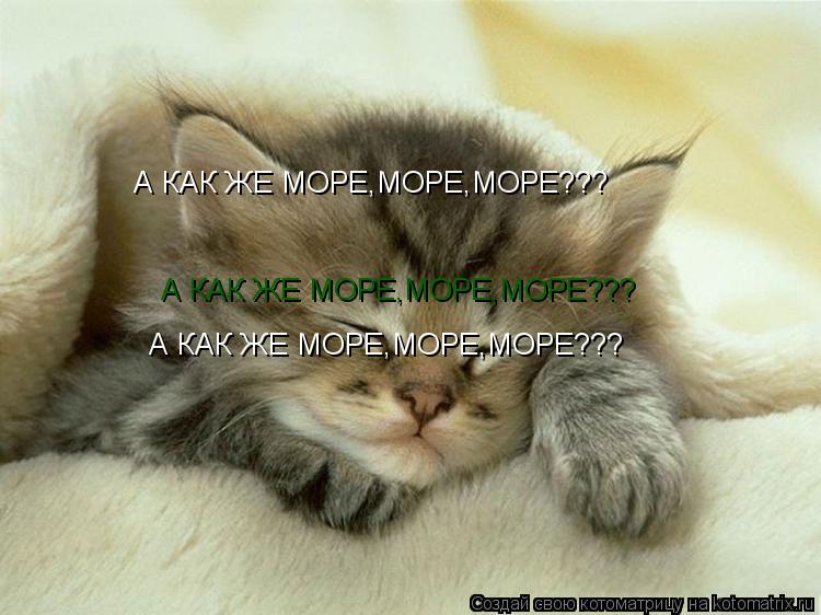 Котоматрица: А КАК ЖЕ МОРЕ,МОРЕ,МОРЕ??? А КАК ЖЕ МОРЕ,МОРЕ,МОРЕ??? А КАК ЖЕ МОРЕ,МОРЕ,МОРЕ???