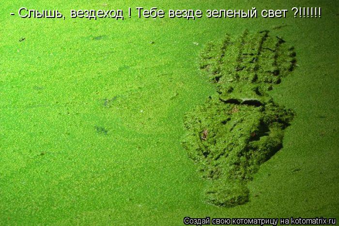 Котоматрица: - Слышь, вездеход ! Тебе везде зеленый свет ?!!!!!!
