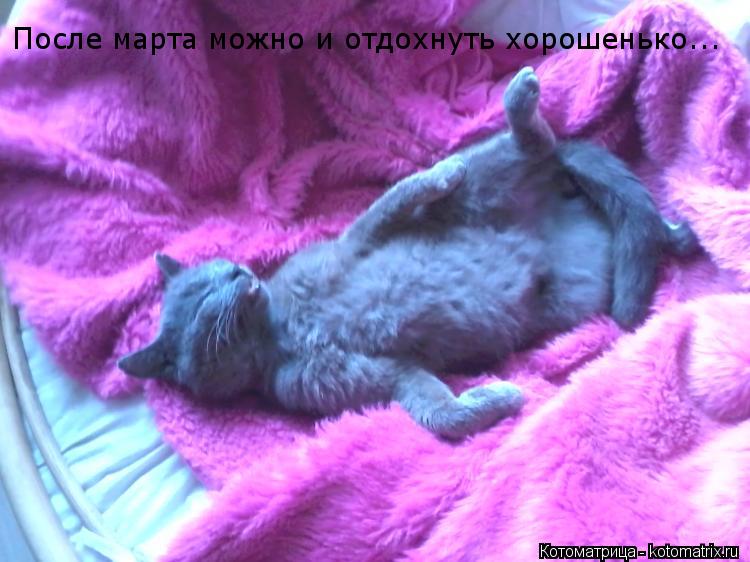 Котоматрица: После марта можно и отдохнуть хорошенько...