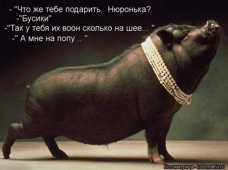 Котоматрица: - "Что же тебе подарить,  Нюронька?  -"Бусики" -"Так у тебя их воон сколько на шее... " -" А мне на попу .. "
