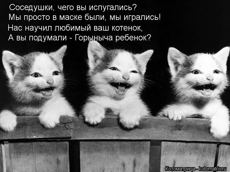 Котоматрица: Соседушки, чего вы испугались? Мы просто в маске были, мы игрались! Нас научил любимый ваш котенок, А вы подумали - Горыныча ребенок?