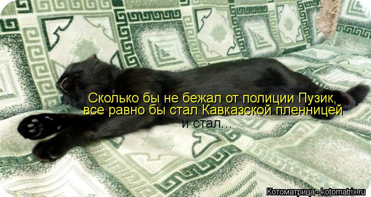 Котоматрица: Сколько бы не бежал от полиции Пузик,  все равно бы стал Кавказской пленницей и стал...