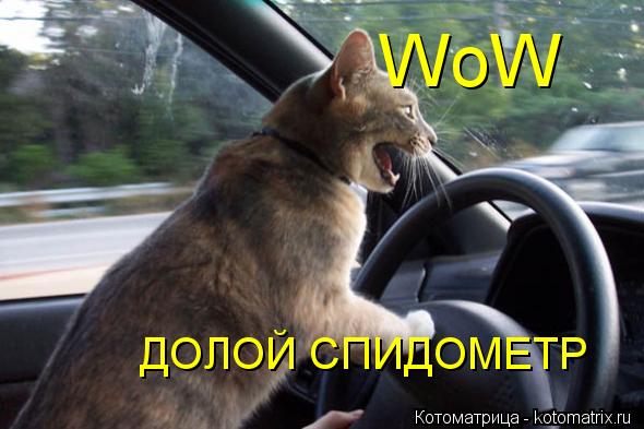 Котоматрица: WoW ДОЛОЙ СПИДОМЕТР
