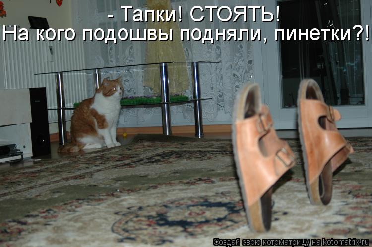 Котоматрица: - Тапки! СТОЯТЬ! На кого подошвы подняли, пинетки?!!