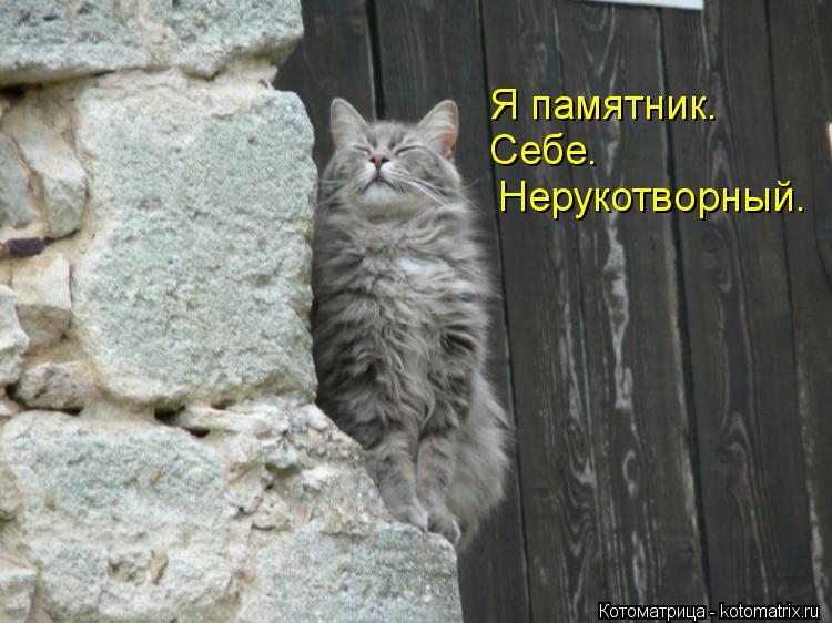 Котоматрица: Нерукотворный. Себе. Я памятник.