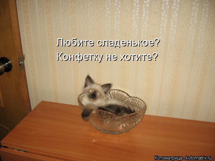 Котоматрица: Любите сладенькое? Конфетку не хотите?