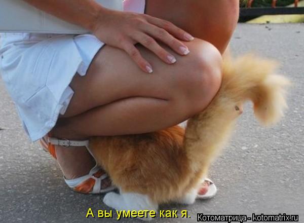 Котоматрица: А вы умеете как я.