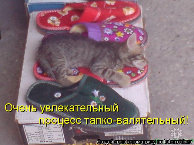 Котоматрица: Очень увлекательный процесс тапко-валятельный!