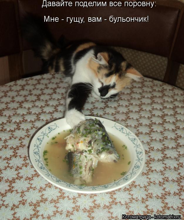 Котоматрица: Давайте поделим все поровну: Мне - гущу, вам - бульончик!